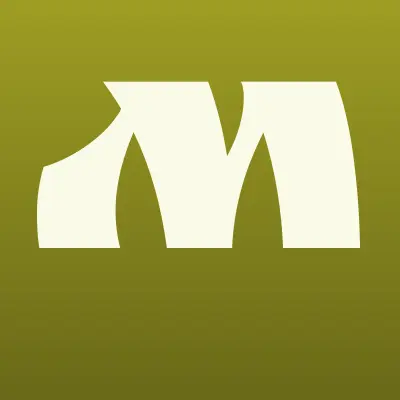 Магазин автозапчастей, ИП Пигорев А.С., лого-визитка