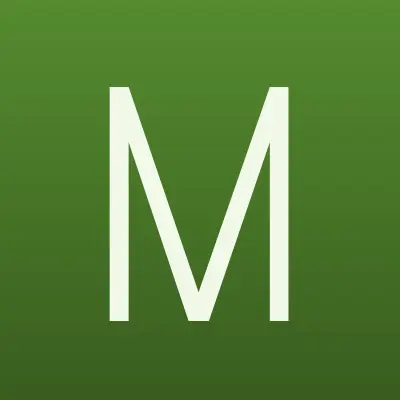 Магазин фейерверков, ИП Конорев Р.А., лого-визитка