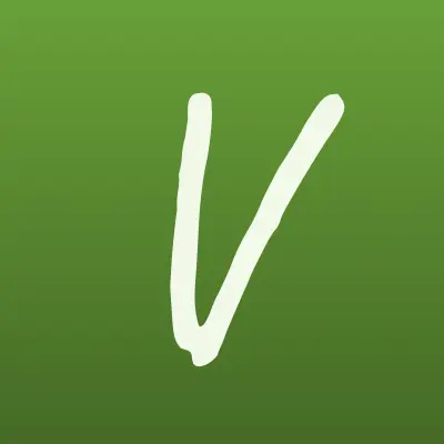 Vimana Cars, автосервис по перетяжке салона, лого-визитка