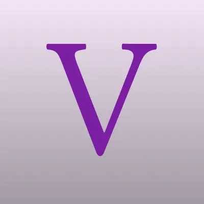 VISA_Expert